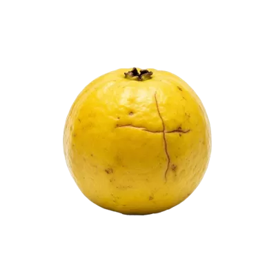 Imagen PNG para descargar